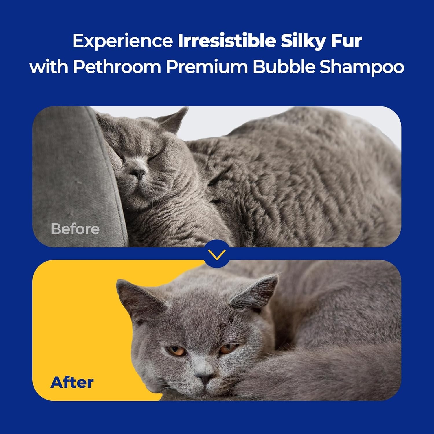 image:imagePETHROOM Premium Cat Silky Shampoo amp Conditioning Strengthen Skin Barrier Hypoallergenic TearFree FragranceFree DeepCleansing Itch Relief Moisturizing Remove Odors
