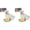 Small (Pack of 2)