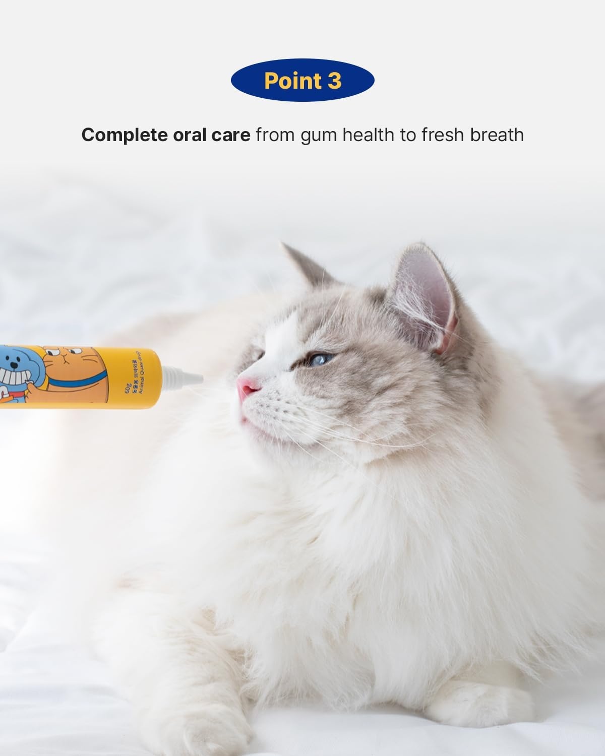 image:imagePETHROOM Pet Dental Solution Toothpaste for Dogs amp Cats Sweet Potato Flavor Enzymatic Toothpaste for Fresh Breath amp Plaque Control Gentle Daily Dental Care Net Wt 21 ozSweet Potato