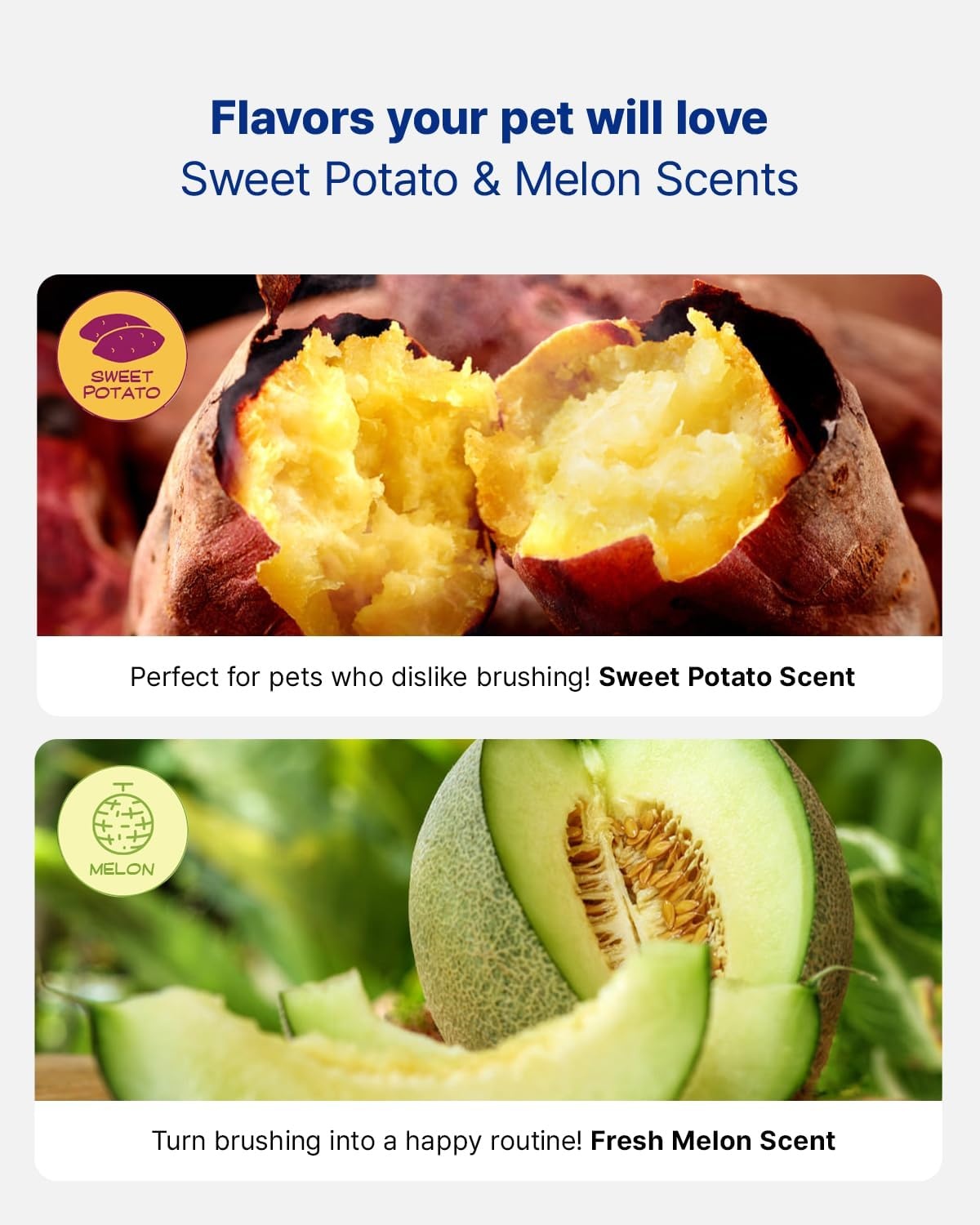 image:imagePETHROOM Pet Dental Solution Toothpaste for Dogs amp Cats Sweet Potato Flavor Enzymatic Toothpaste for Fresh Breath amp Plaque Control Gentle Daily Dental Care Net Wt 21 ozMelon