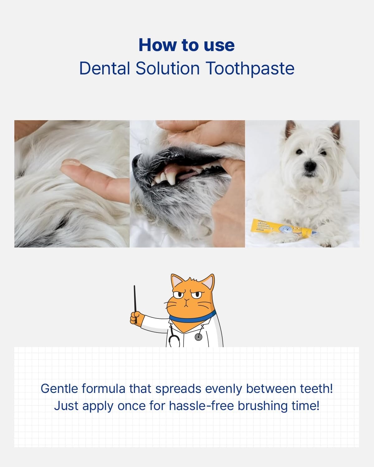 image:imagePETHROOM Pet Dental Solution Toothpaste for Dogs amp Cats Sweet Potato Flavor Enzymatic Toothpaste for Fresh Breath amp Plaque Control Gentle Daily Dental Care Net Wt 21 ozSweet Potato