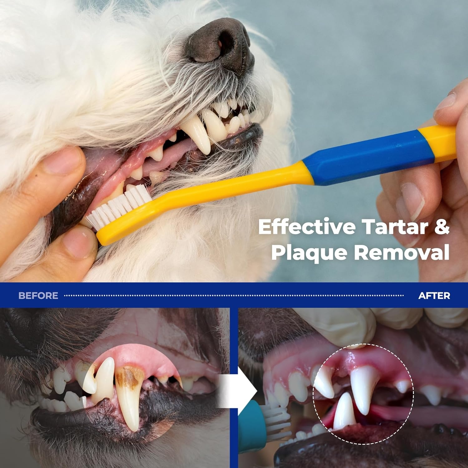 image:imagePETHROOM Pet Toothbrush for Cats and Dogs Round Shaped Head with Ultra Soft Bristle for Deep Cleaning Dental Care Kitten and Small Dogs Tartar Plaque Removal Deep PointMedium