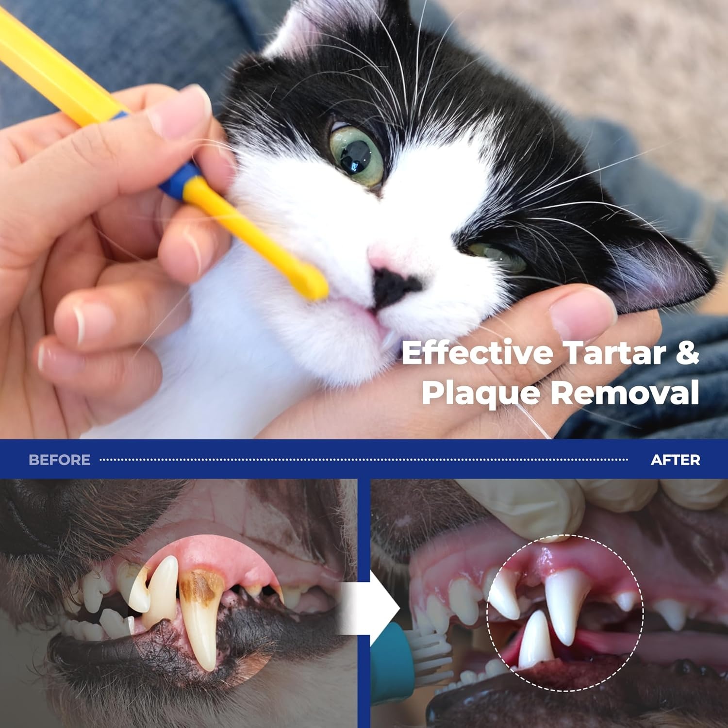 image:imagePETHROOM Pet Toothbrush for Cats and Dogs Round Shaped Head with Ultra Soft Bristle for Deep Cleaning Dental Care Kitten and Small Dogs Tartar Plaque Removal Deep PointExtra Small