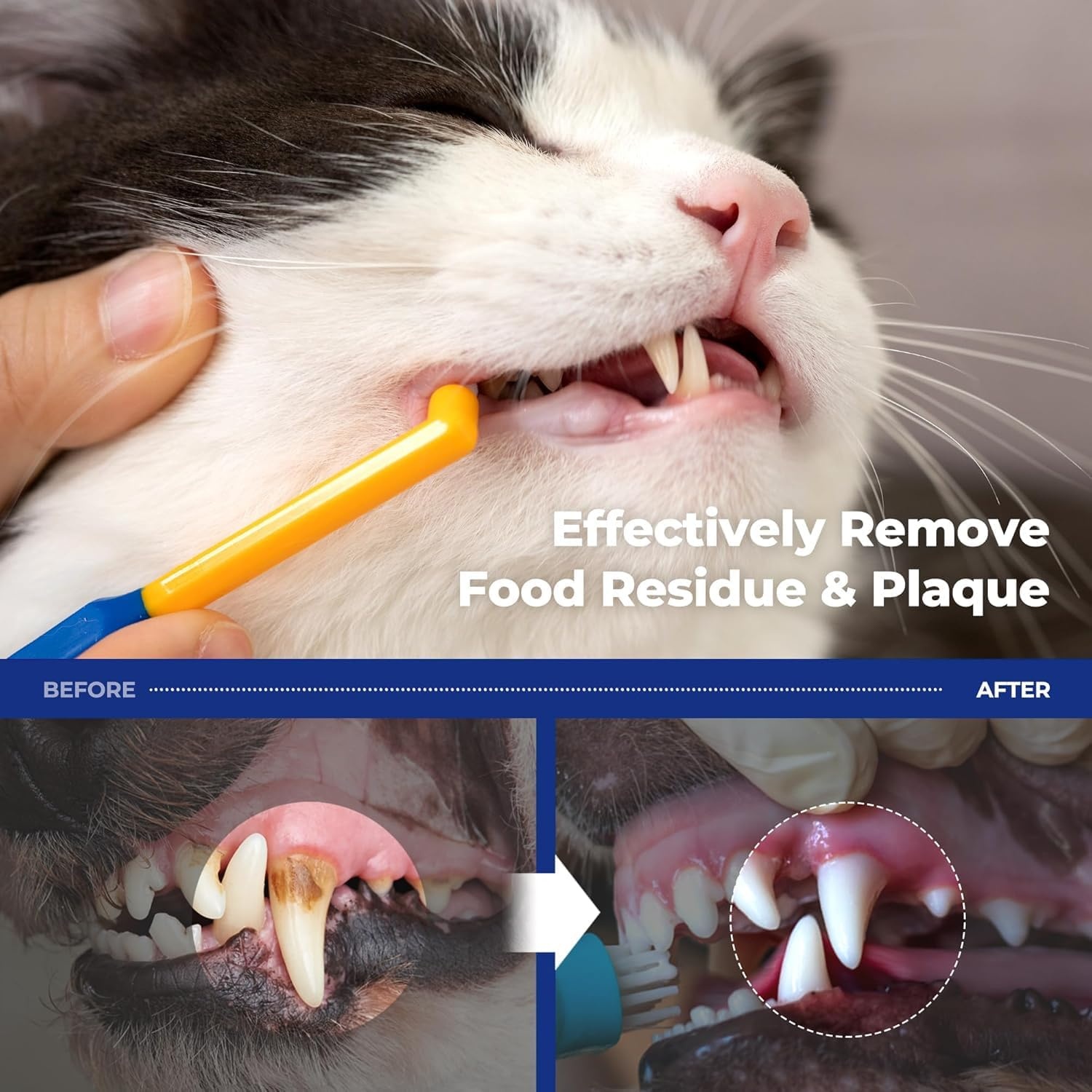 image:imagePETHROOM Pet Toothbrush for Cats and Dogs Round Shaped Head with Ultra Soft Bristle for Deep Cleaning Dental Care Kitten and Small Dogs Tartar Plaque Removal Deep PointDeep Point