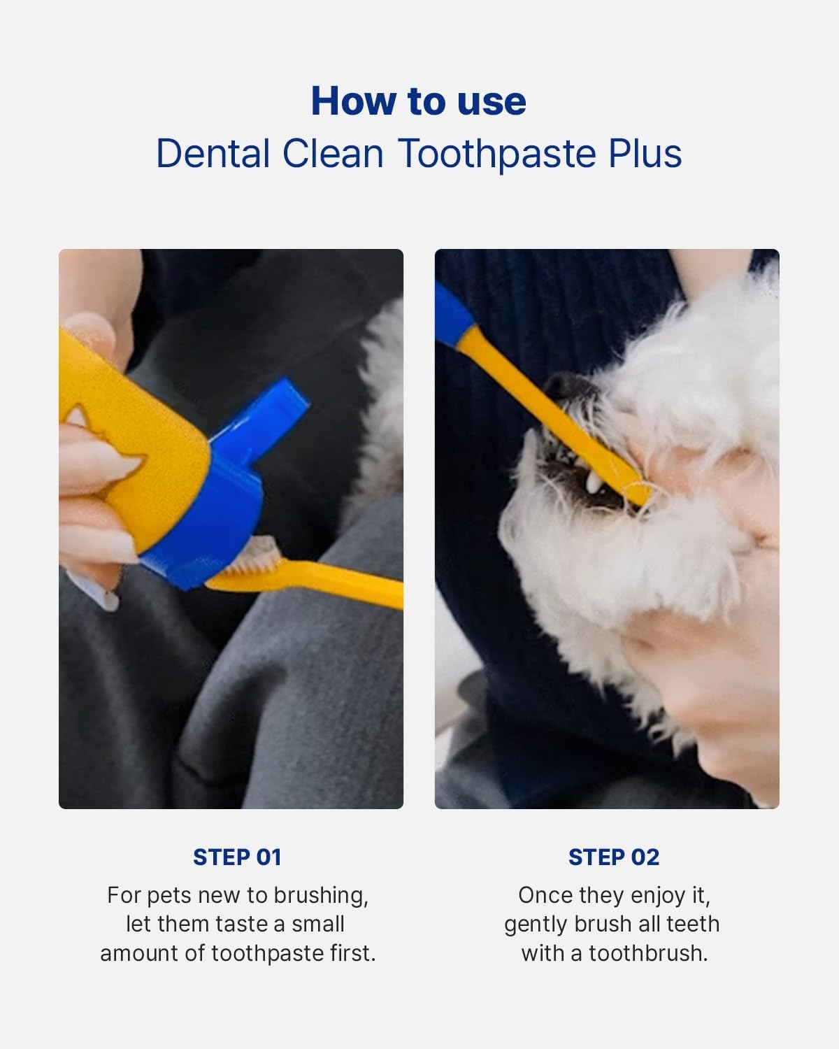 image:imagePETHROOM Pet Dental Clean Toothpaste Plus for Dogs amp Cats Apple Flavor Enzymatic Toothpaste for Fresh Breath amp Plaque Control Gentle Daily Dental Care Net Wt 21 ozOriginal